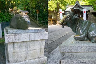 谷保天満宮 座牛・撫牛