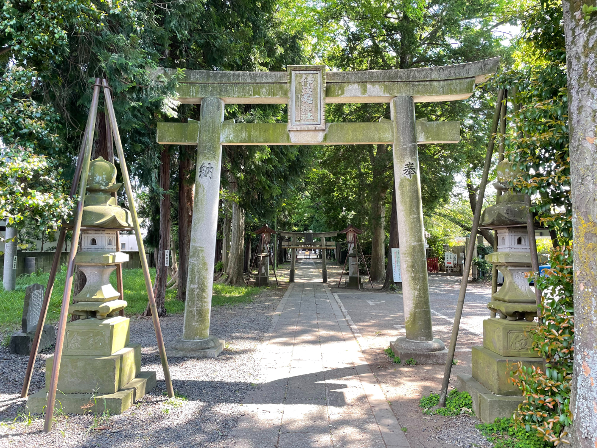 鳥居と参道