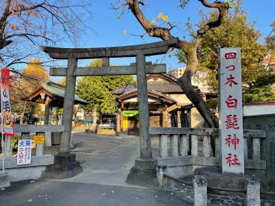 四つ木白髭神社 鳥居と拝殿