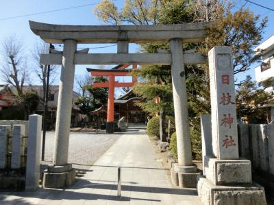 新宿日枝神社 鳥居と拝殿