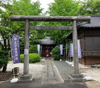 王子白髭神社 鳥居と拝殿