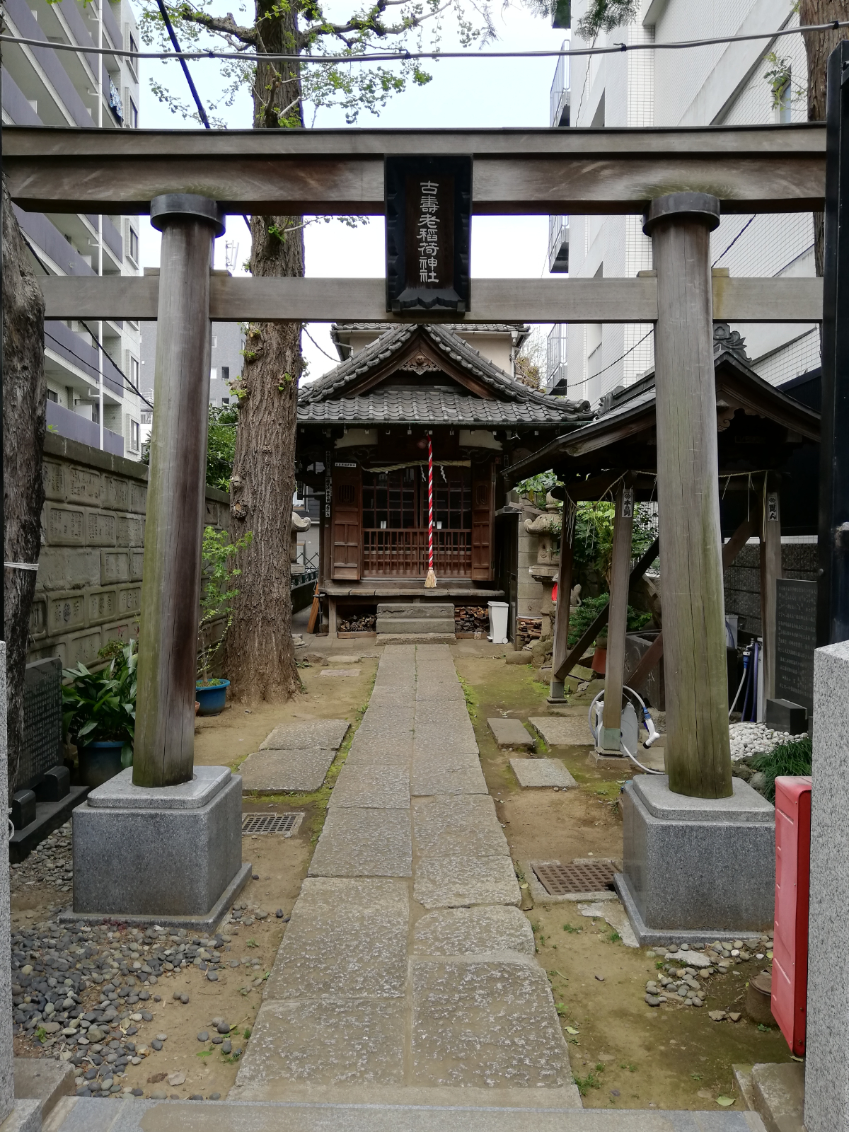 鳥居と拝殿