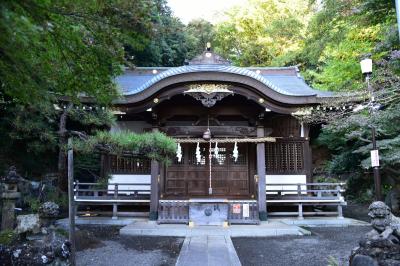 貫井神社 拝殿