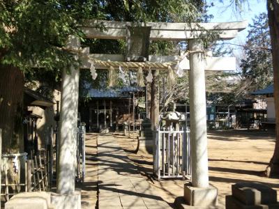 春日神社 鳥居と拝殿