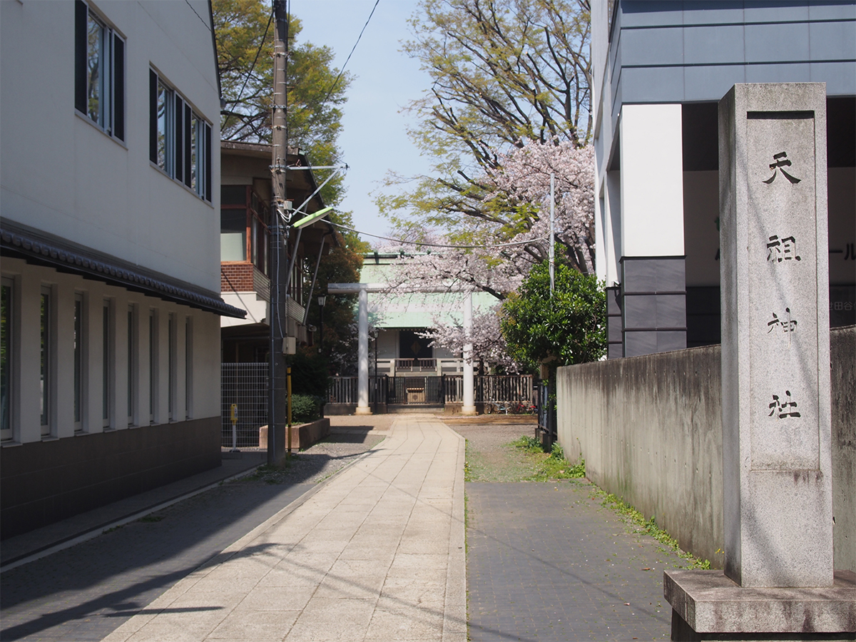 鳥居と拝殿