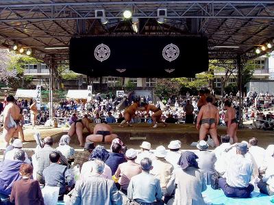 靖国神社 奉納相撲