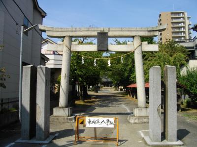 氷川神社 鳥居と拝殿