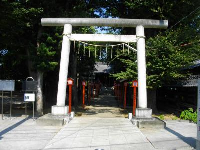 氷川神社 鳥居と拝殿