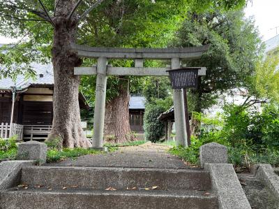 八幡神社 鳥居
