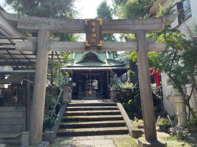 寄木神社 鳥居と拝殿