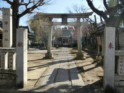 八雲神社 鳥居と拝殿