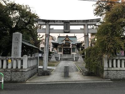 氷川神社 鳥居と拝殿