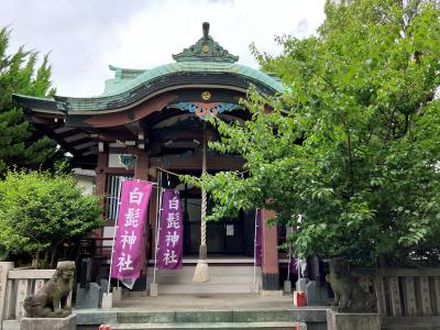 白髭神社 拝殿