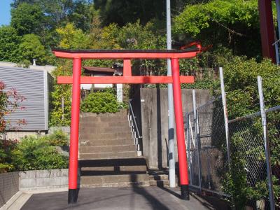 東山藤稲荷神社 鳥居