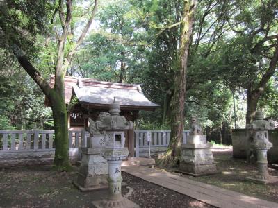 武蔵国府八幡宮 鳥居と拝殿