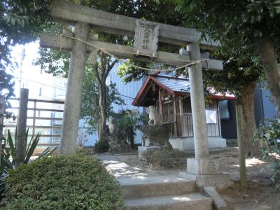 八雲神社 鳥居と拝殿