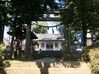 成宗白山神社 鳥居と拝殿