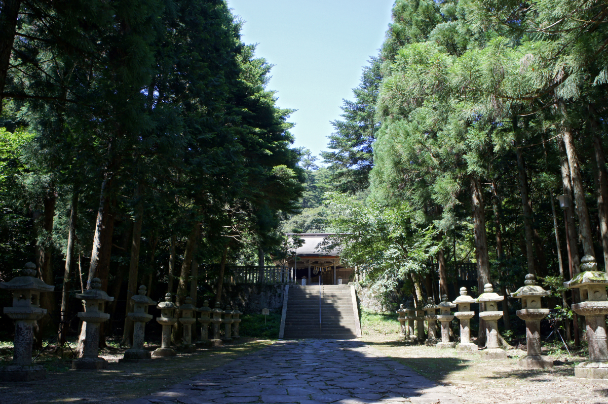 参道と拝殿