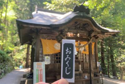 金持神社 おみくじと社殿