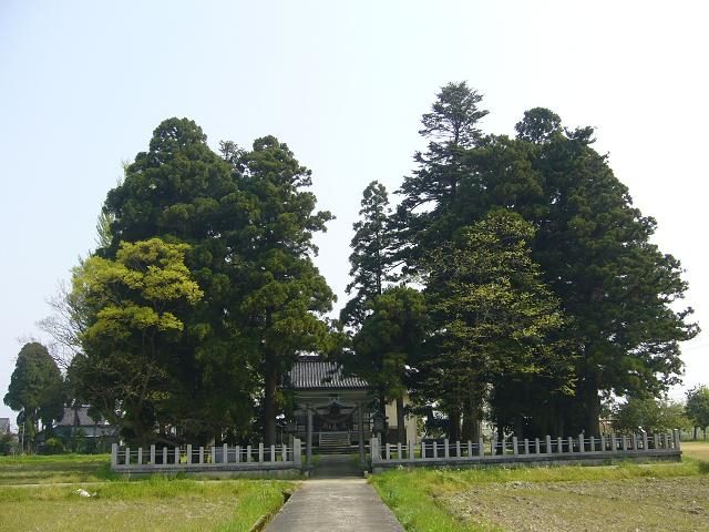 林叢と社殿
