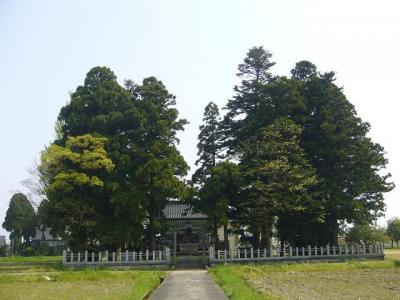 熊野神社 林叢と社殿