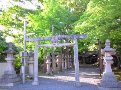 伊久比売神社 鳥居と参道