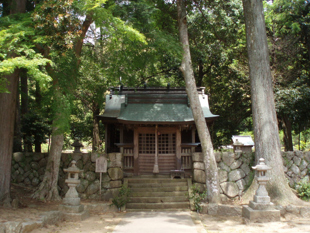 拝殿と社叢