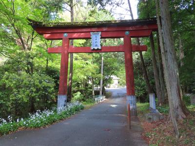 春日神社 鳥居