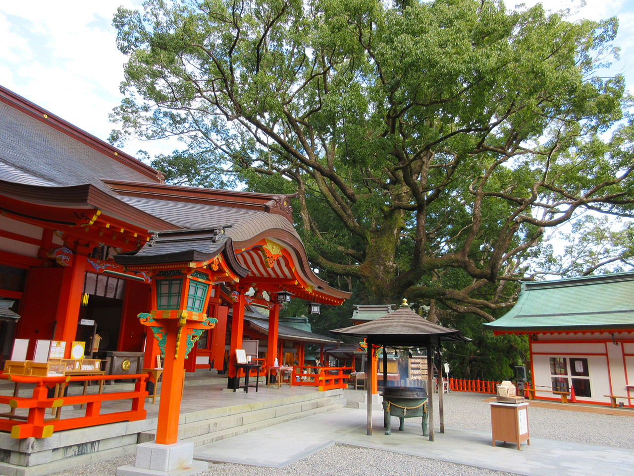 熊野那智大社 礼殿(拝殿)と那智の樟