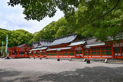 熊野速玉大社 本殿全体