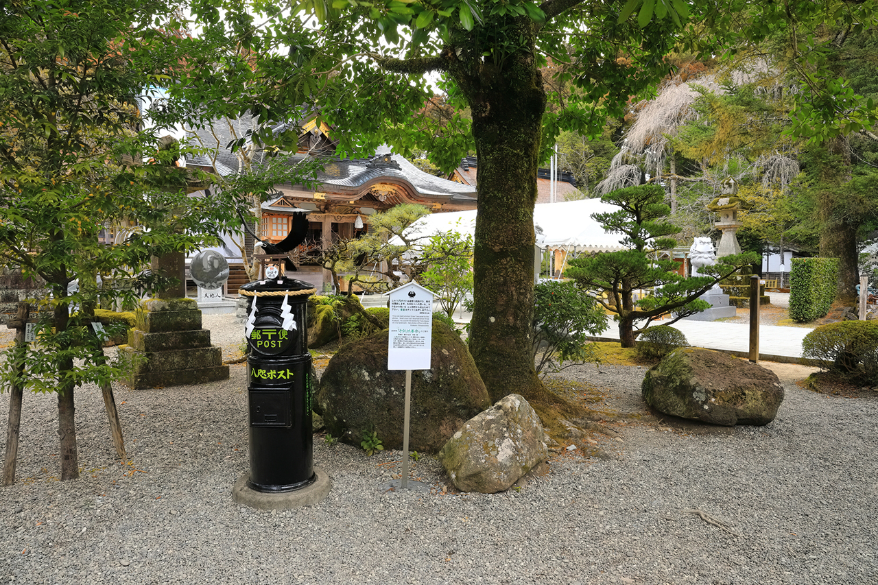 多羅葉ご神木
