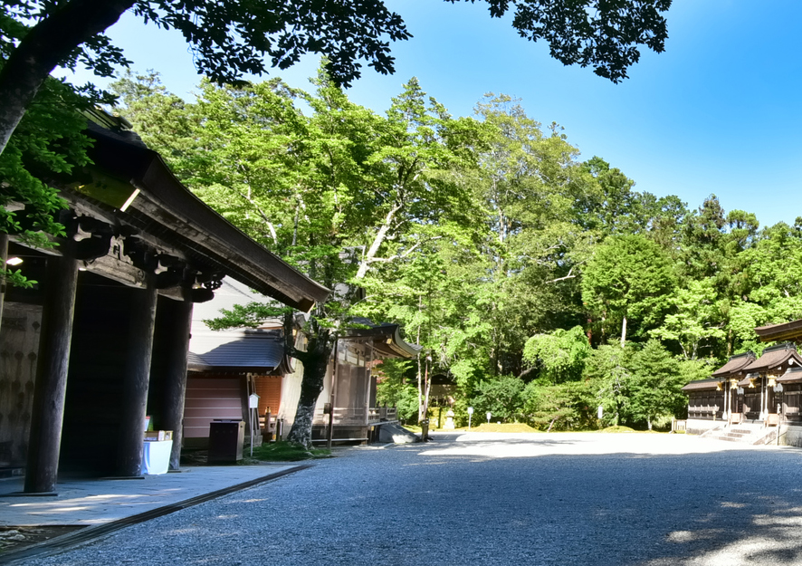おがたまの木