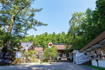 熊野本宮大社 なぎの木