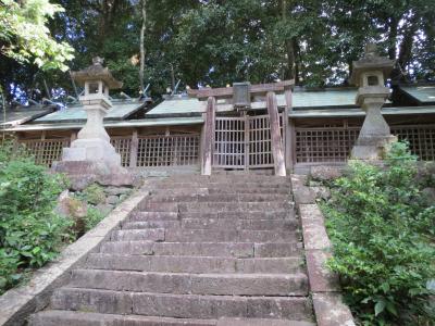 信太神社 鳥居と本殿