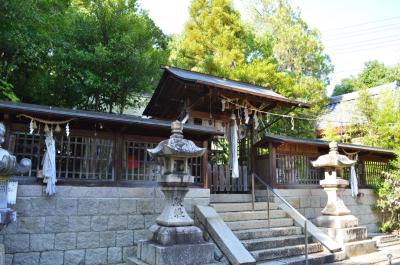 都麻津姫神社 社殿