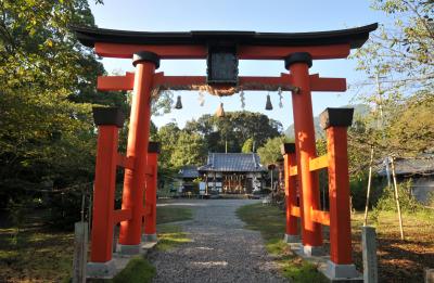 丹生官省符神社 鳥居と拝殿