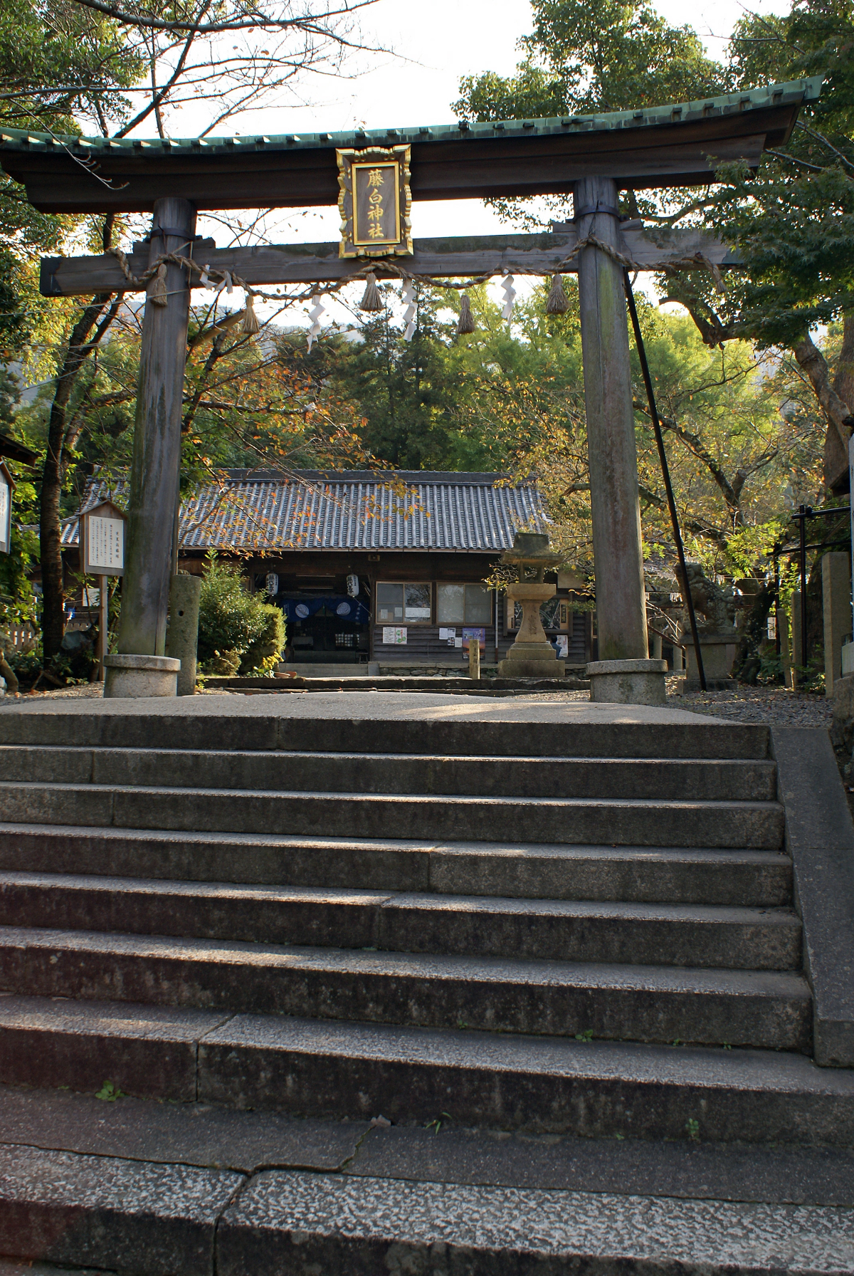 鳥居と拝殿