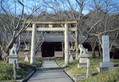 山口神社 鳥居と拝殿