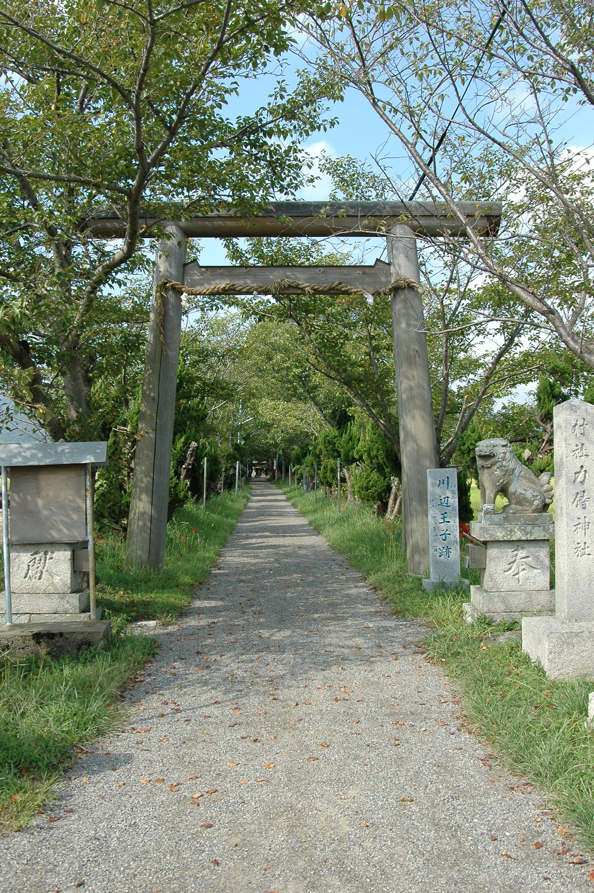 鳥居と参道