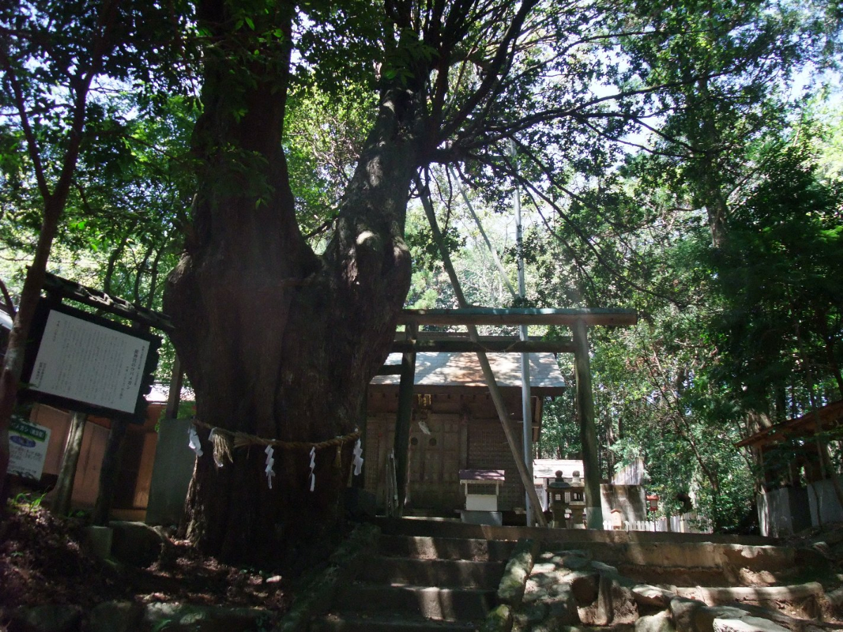 鳥居と拝殿