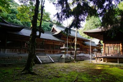 野田神社 社殿