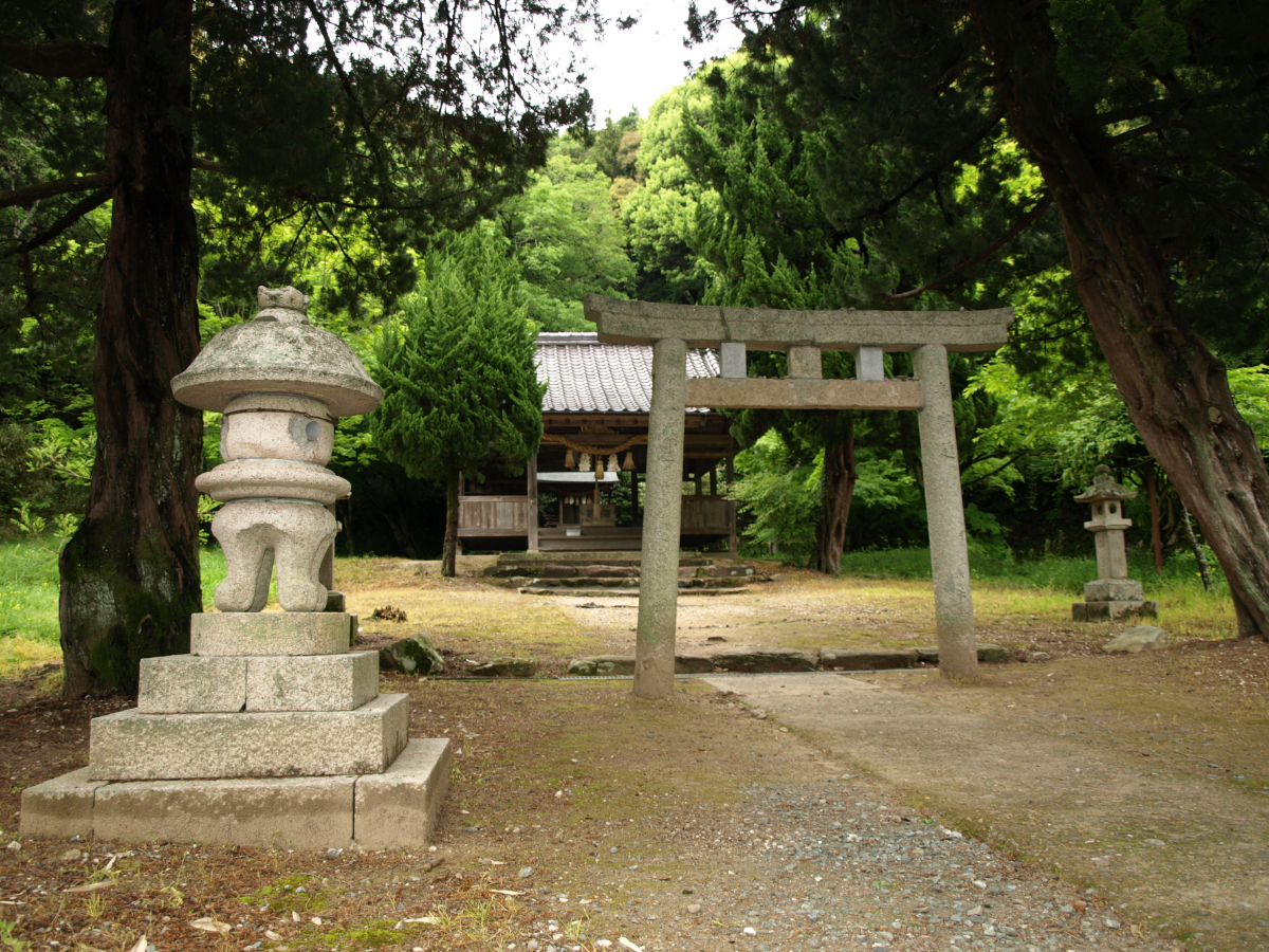 鳥居と本殿