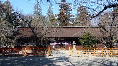 大井俣窪八幡神社 拝殿