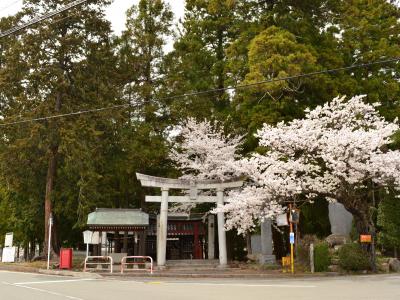 諏訪神社 鳥居