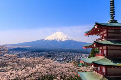 新倉富士浅間神社 富士山と忠霊塔