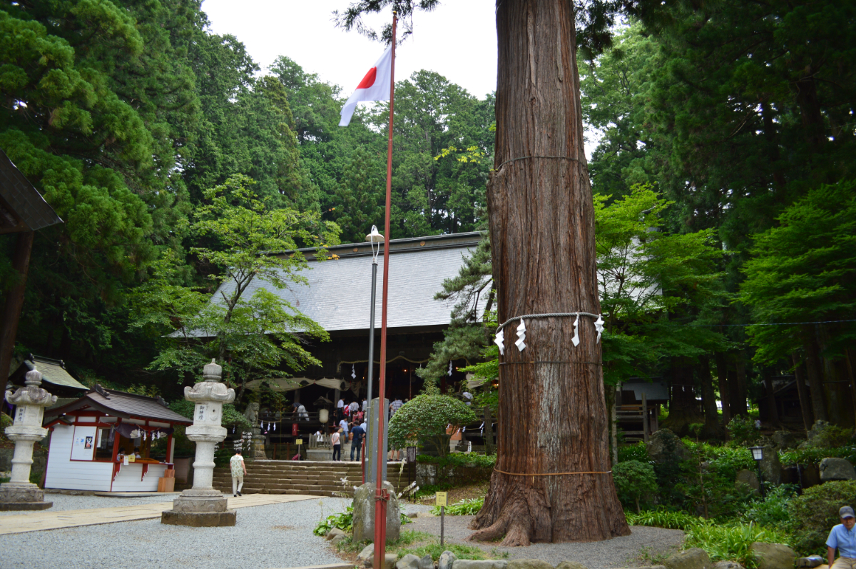 拝殿と七本杉