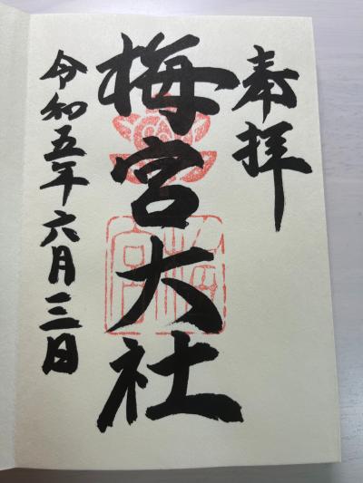 梅宮大社の御朱印