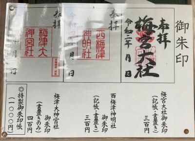 梅宮大社の御朱印一覧(見本)